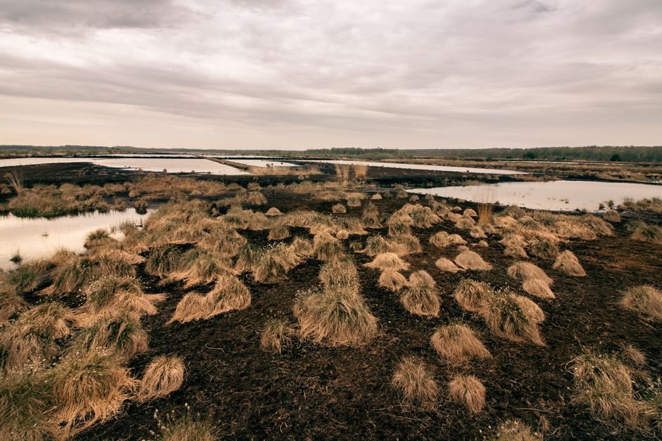 Explore the vast, serene marshland under a cloudy sky in Quickborn, Germany.