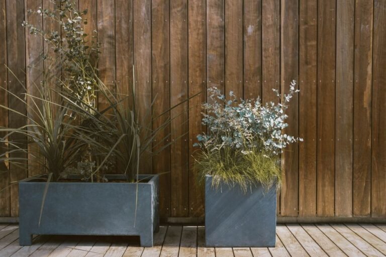 Modern potted plants against a rustic wooden wall add a blend of nature and design.