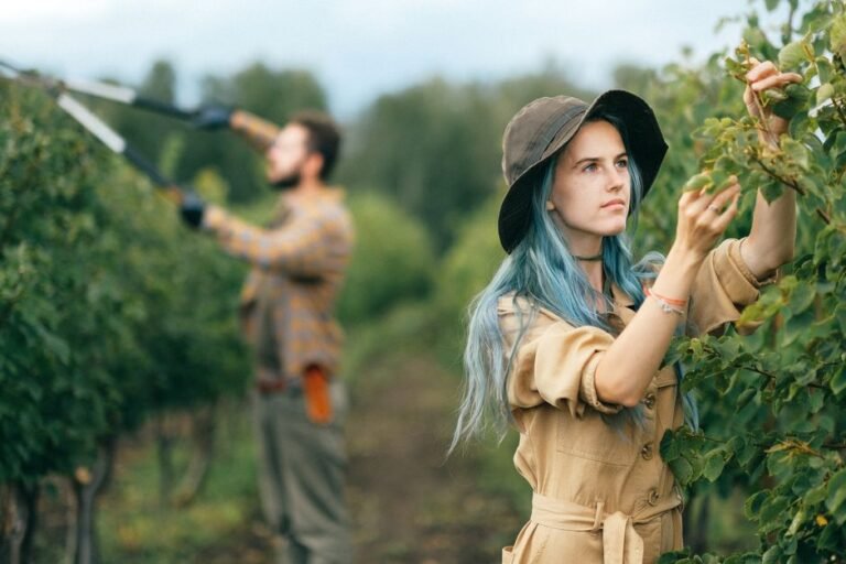 Two young adults tending to a vibrant vineyard in a rural setting.