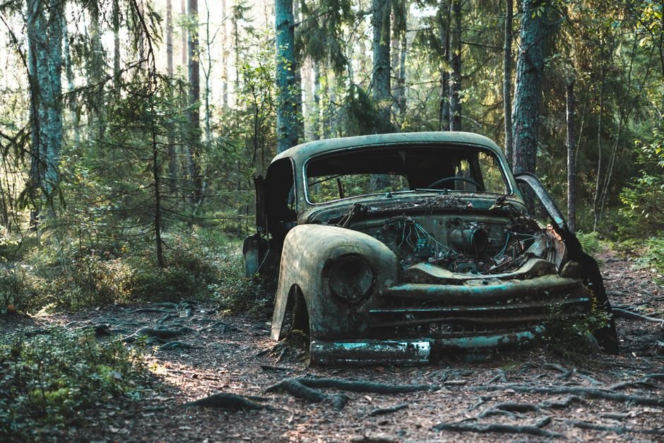 Rustic abandoned car in a lush forest, conveying a sense of decay and nature's reclaim.