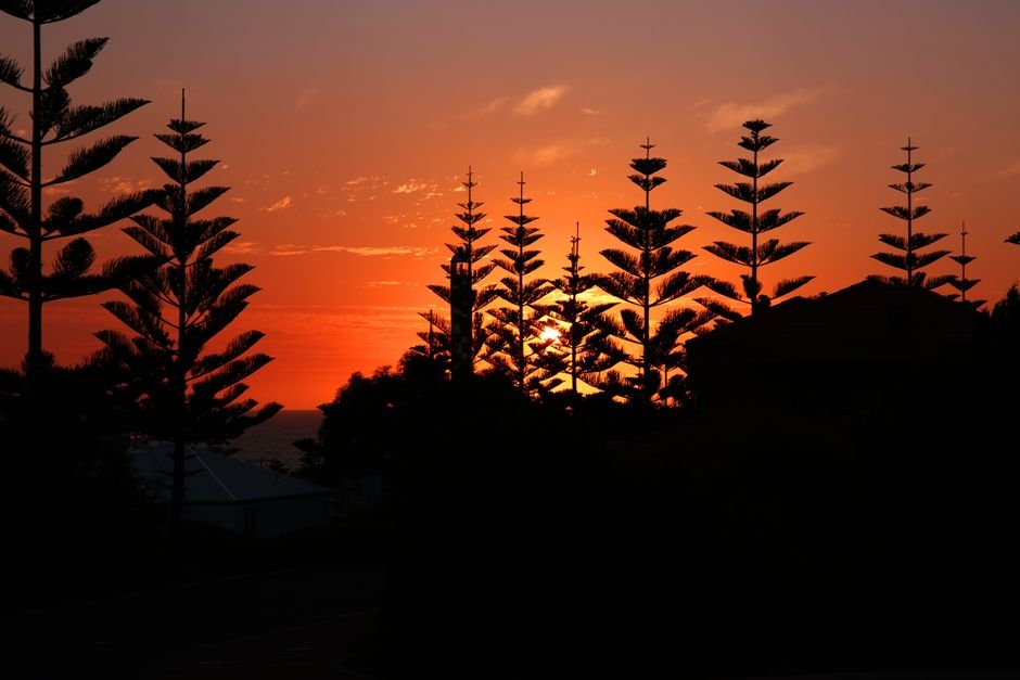 Silhouette of trees against a vibrant sunset in Bunbury, Western Australia.