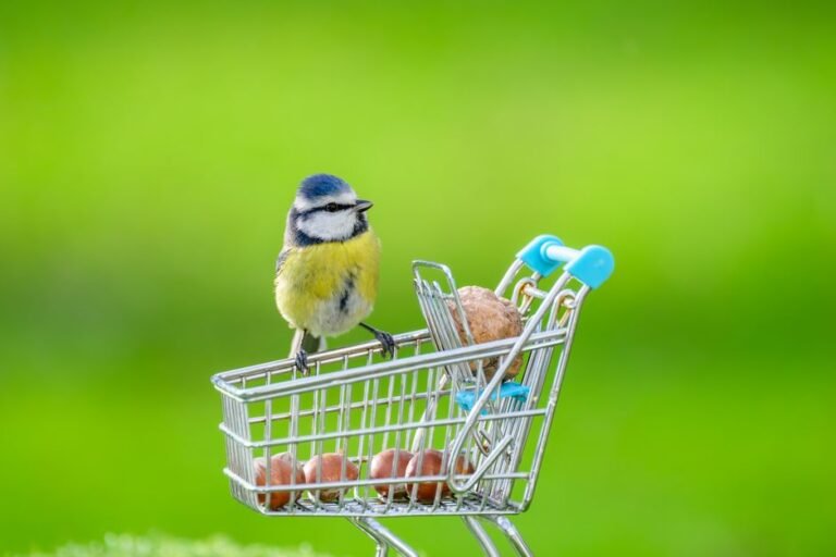 A vibrant blue tit perched on a mini shopping cart filled with nuts, against a lush green backdrop.