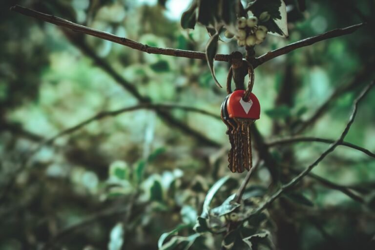 A close-up view of keys with a heart keychain hanging on a branch, captured in a Paris garden.