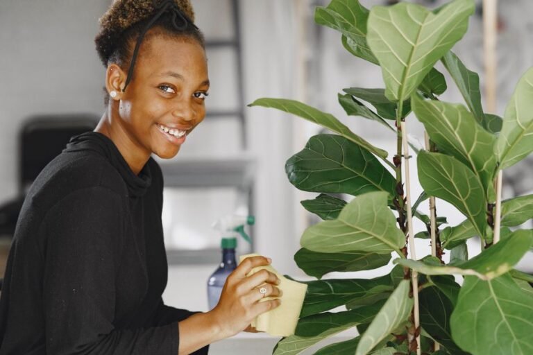 Smiling woman cleans indoor plant leaves with a sponge, promoting plant care.