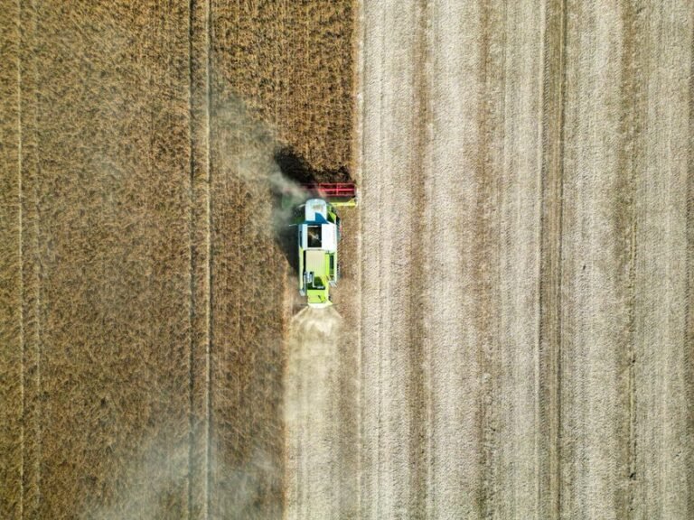 Drone shot of a combine harvester working in a wheat field in Garešnica, Croatia.