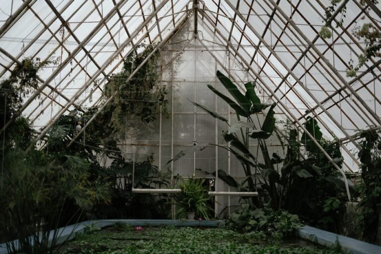 Interior view of a greenhouse filled with diverse plants and natural light.