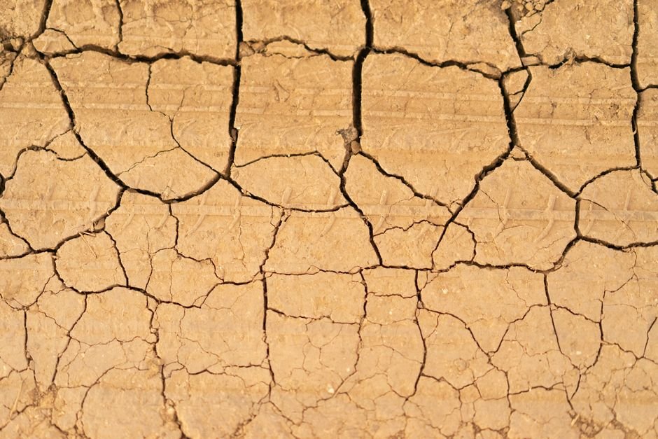 A close-up of cracked dry earth, depicting harsh arid desert conditions.